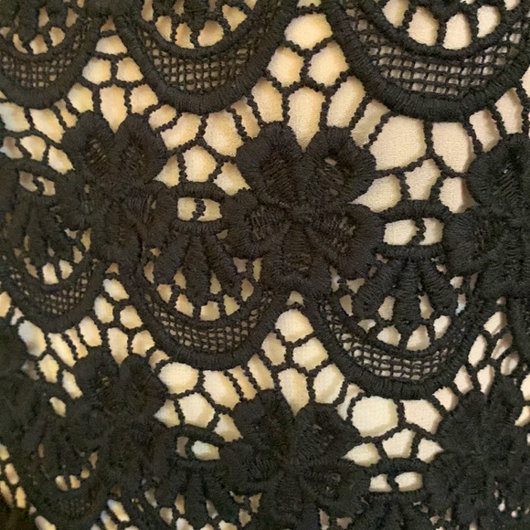 Philosophy Alberta Ferreti Lace Dress. Sz 10 - Picture 6 of 6